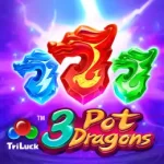 3 Pot Dragons
