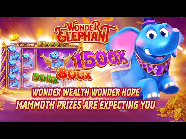 Wonder Elephant