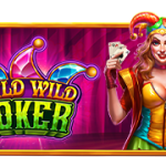 Wild Wild Joker